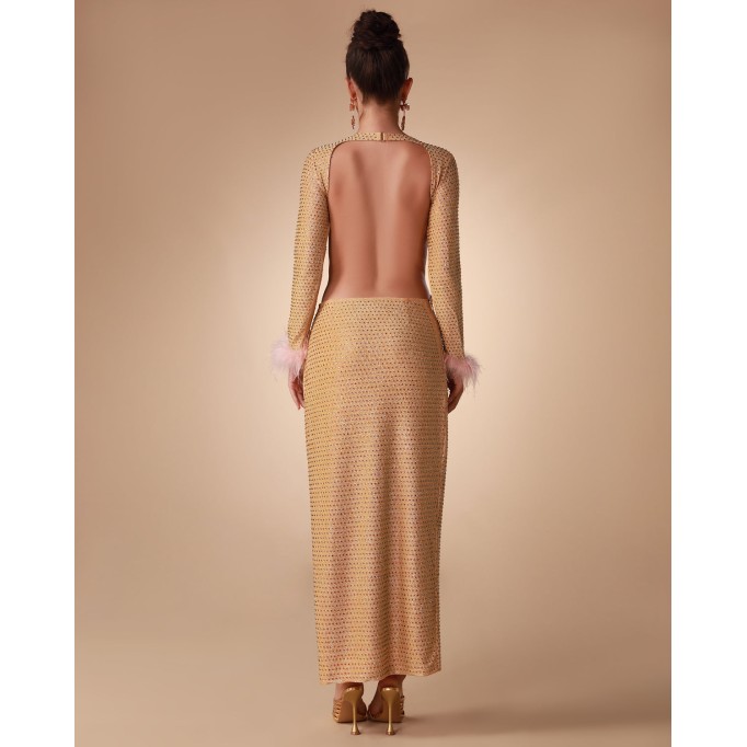 Backless Crystallized Maxi Dress