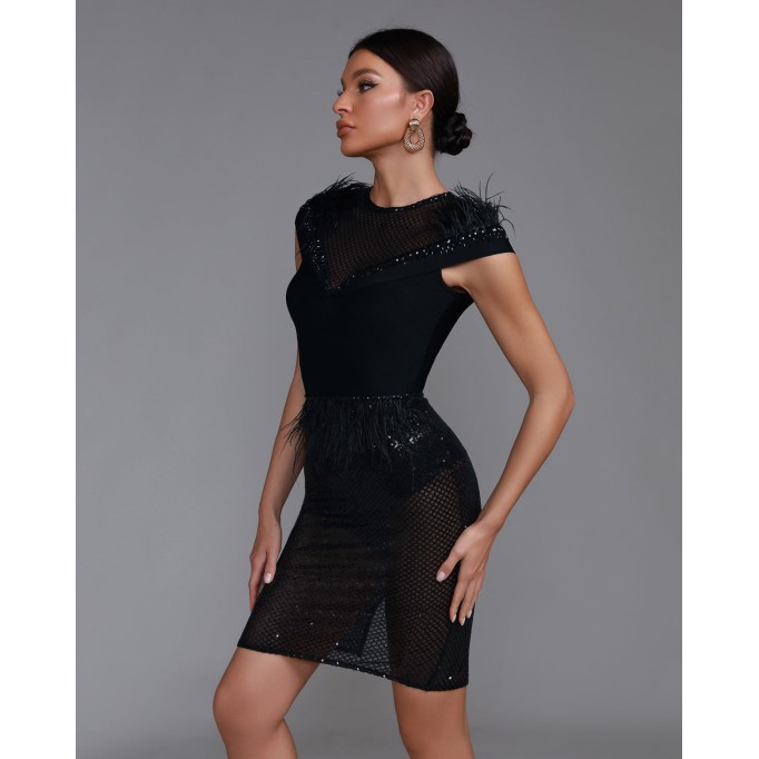 Feather Trim Mesh Sequin Dress